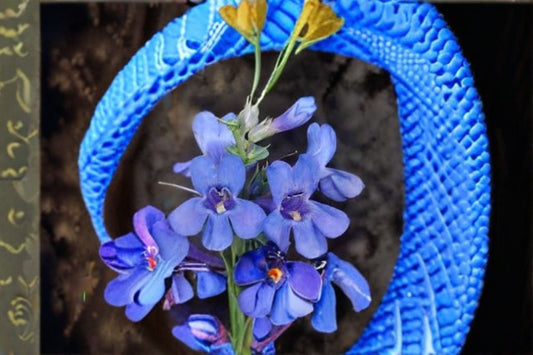 Sand Penstemon Seeds Penstemon acuminatus Purple Wildflower Seeds Native Perennial Garden Flower Planting 50 Seeds