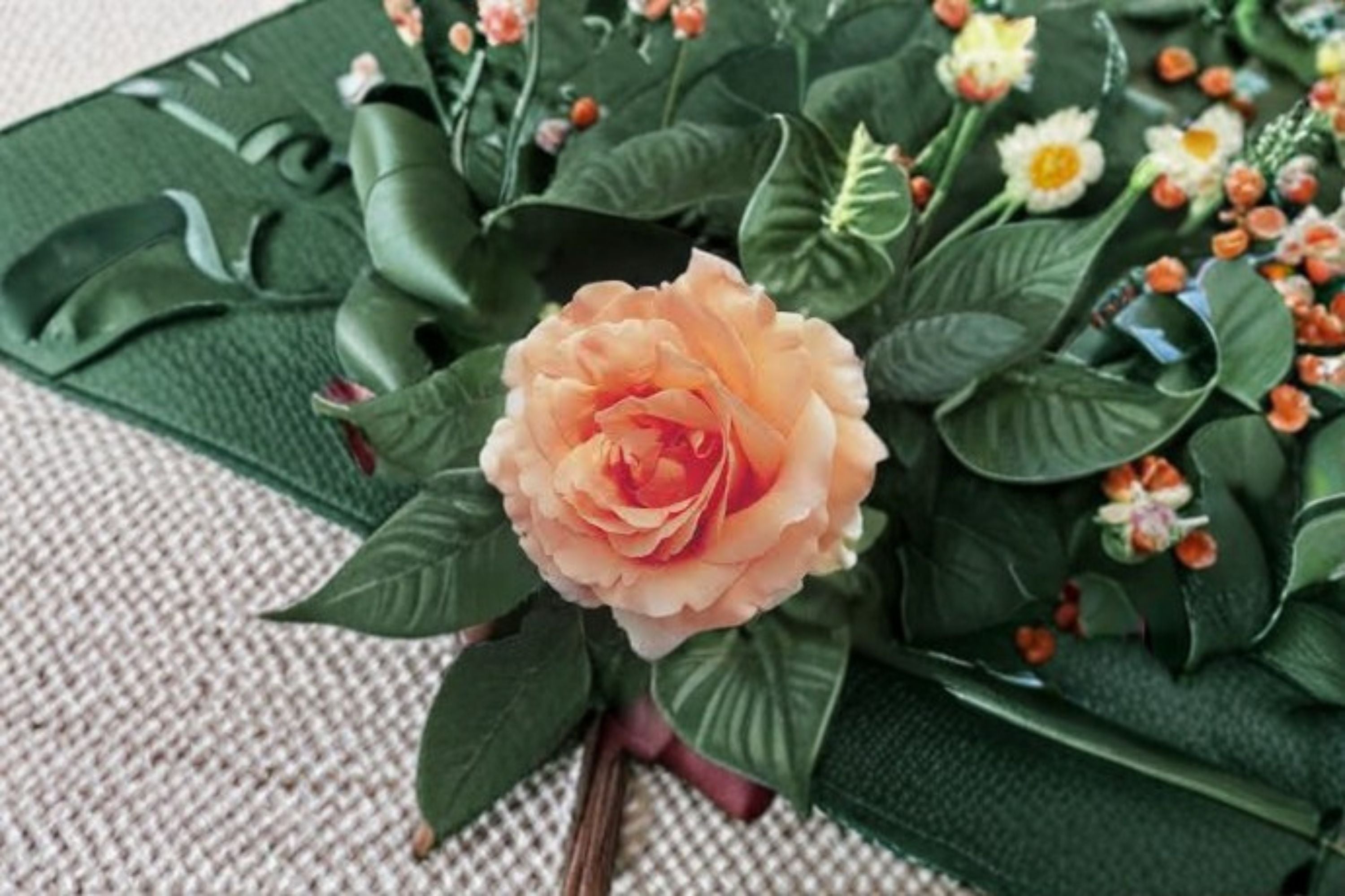 Polka Climbing Rose Live Plant – 1.5 Gal Apricot Peach Rose