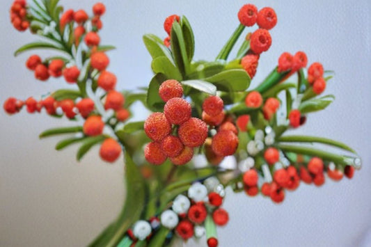 Strawberry Tree 1 Plant – Arbutus unedo
