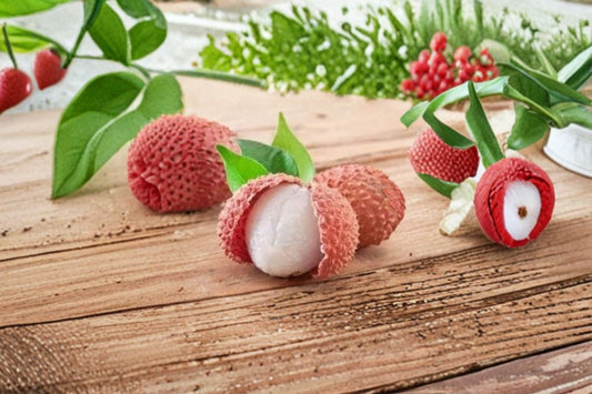 Lychee Tree Live Seedling – 1 Year Old, 5"+ Tall – Litchi chinensis