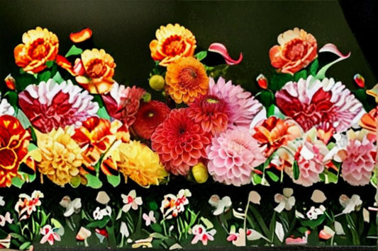 Dahlia 1 Plant – Dahlia pinnata