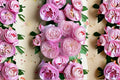 Plume Japanese Rose Live Plant – Pale Pink Cup Shaped Shrub Rose
