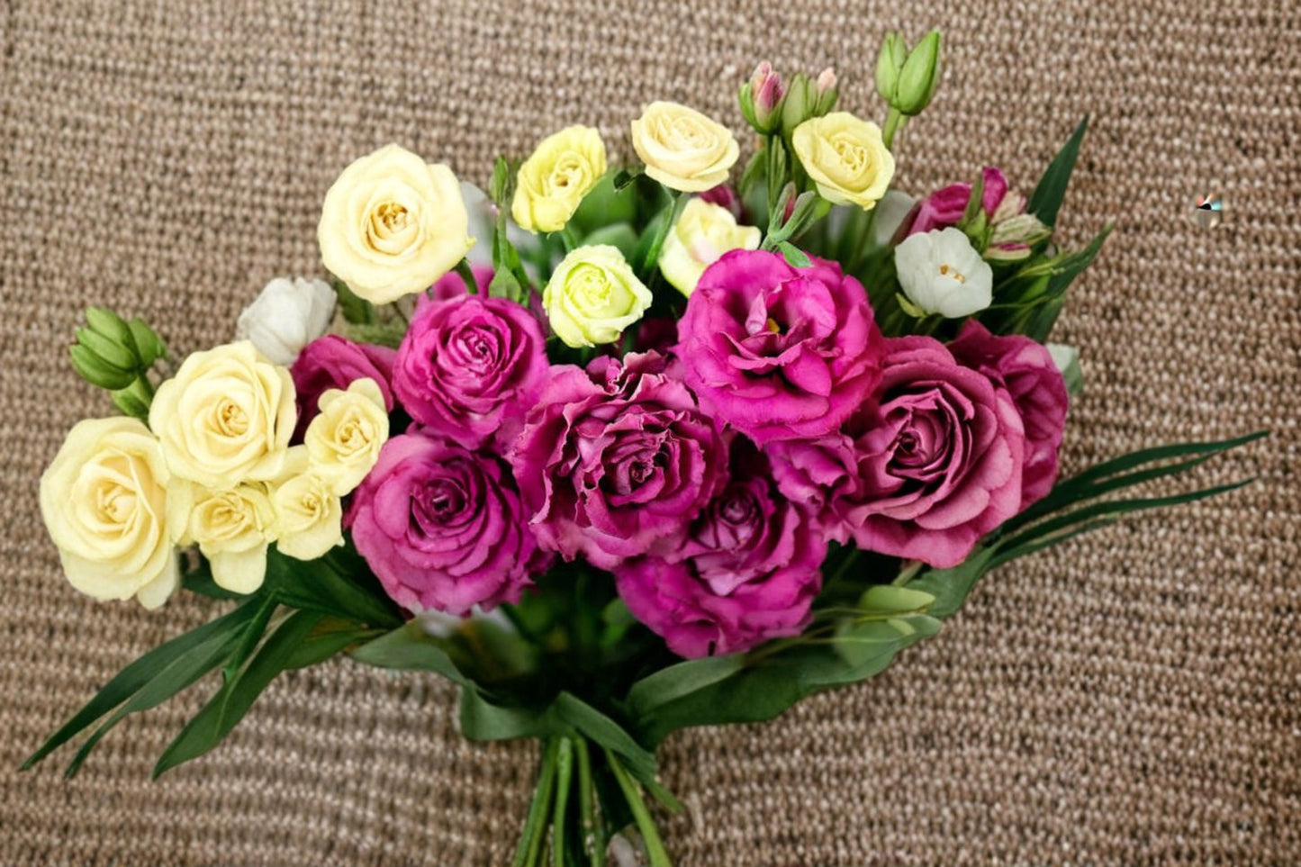 Lisianthus Voyage Deep Rose II Live Plant Plug – 1–3" Tall – Eustoma grandiflorum