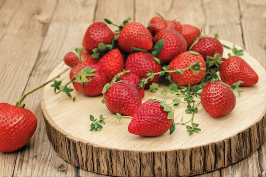 Everbearing Strawberry Live Starter Plant – 3.5–5 Inch Pot – Fragaria × ananassa