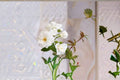 Iceberg Rose Live Plant – 1.5 Gal Floribunda White Rose