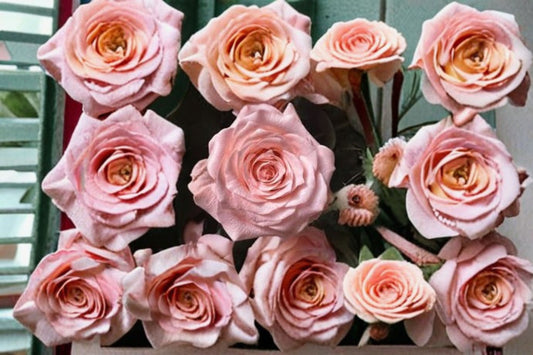 Diana Rose Live Plant – Elegant Cut Rose Variety