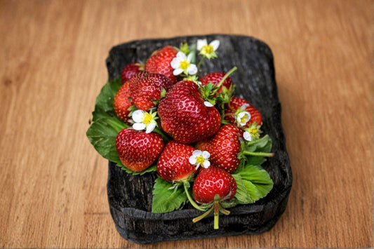 2 Strawberry Tree Live Plants – 5–8" Tall – Arbutus unedo – Bare Root