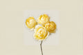 Lemon Julieta Rose Live Plant – Yellow Peony Style Garden Rose