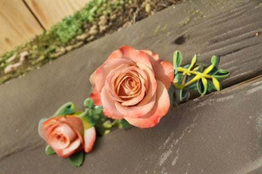 Cappuccino Rose Live Plant – Repeat Blooming Cut Rose