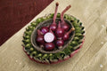 Red Baron 1 Lb Bulbs – Non-GMO Allium cepa Onion Sets