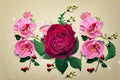 Janice Kellogg Rose Live Plant – Red Velvety Meilland Rose