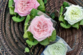 All Four Bouquet Rose Live Plant – Pink Double Cut Rose