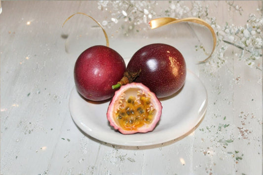 Panama Red Passion Fruit Live Plant – Passiflora edulis – 2" Pot