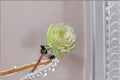 Moonstone Rose Live Plant – Own Root Repeat Cut Rose