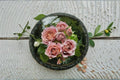 Nachuru Rose Live Plant – Fragrant Japanese Shrub Rose