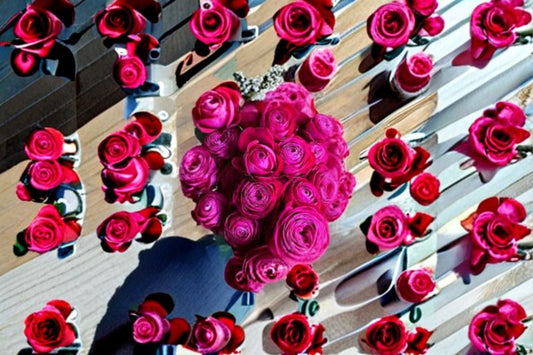 Dima Bombastic Rose Live Plant – Magenta Cherry Red Spray Cut Rose