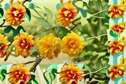 Japanese Rose 8 Cuttings – Kerria japonica