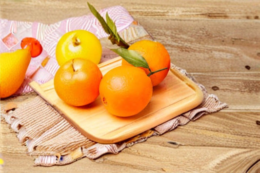 Navel Orange 3 Scions – Citrus sinensis