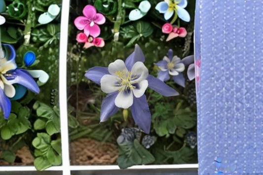 Rocky Mountain Columbine Seeds Aquilegia caerulea Blue White Flower Seeds Native Garden Planting 100 Seeds