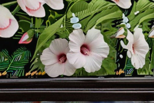 Rose Mallow Seeds Hibiscus Militaris Pink White Perennial Flower Garden Plant Moist Soil Border Meadow 20 Seeds