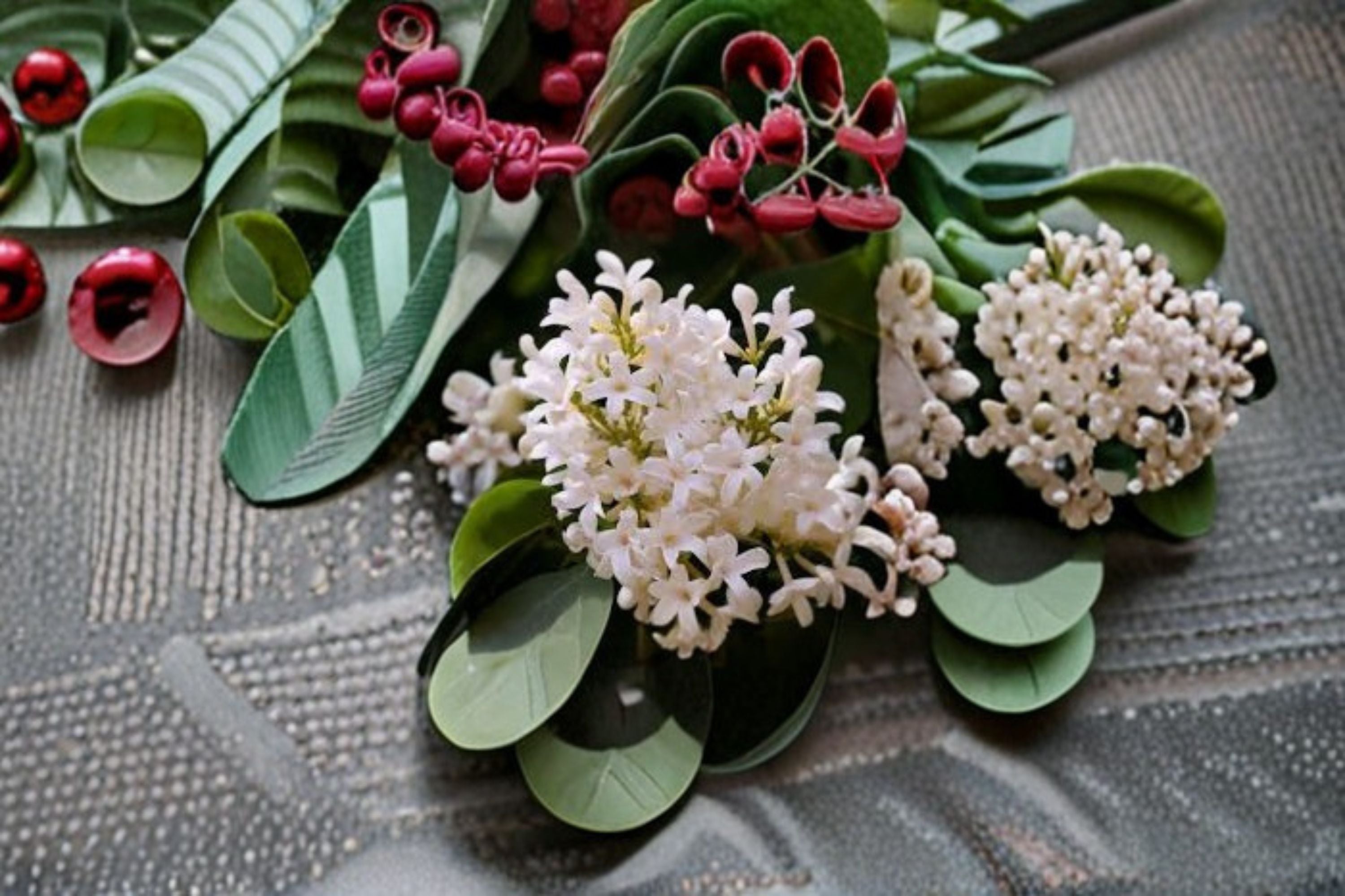 Japanese Tree Lilac Seeds Syringa reticulata Amurensis White Flower Tree Seeds Ornamental Garden Planting 10 Seeds