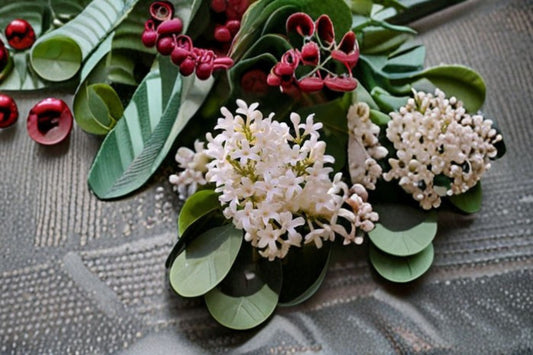 Japanese Tree Lilac Seeds Syringa reticulata Amurensis White Flower Tree Seeds Ornamental Garden Planting 10 Seeds