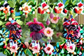 Fuchsia New Millenium 1 Plant – Fuchsia hybrida