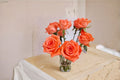 Movie Star Rose Live Plant – Elegant Garden Cut Rose