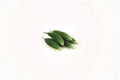 Bitter Gourd Seeds Momordica charantia Vegetable Seeds Climbing Vine Garden Planting 5 Seeds
