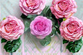 Lavender Lace Rose Live Plant – Lavender Pink Cut Rose
