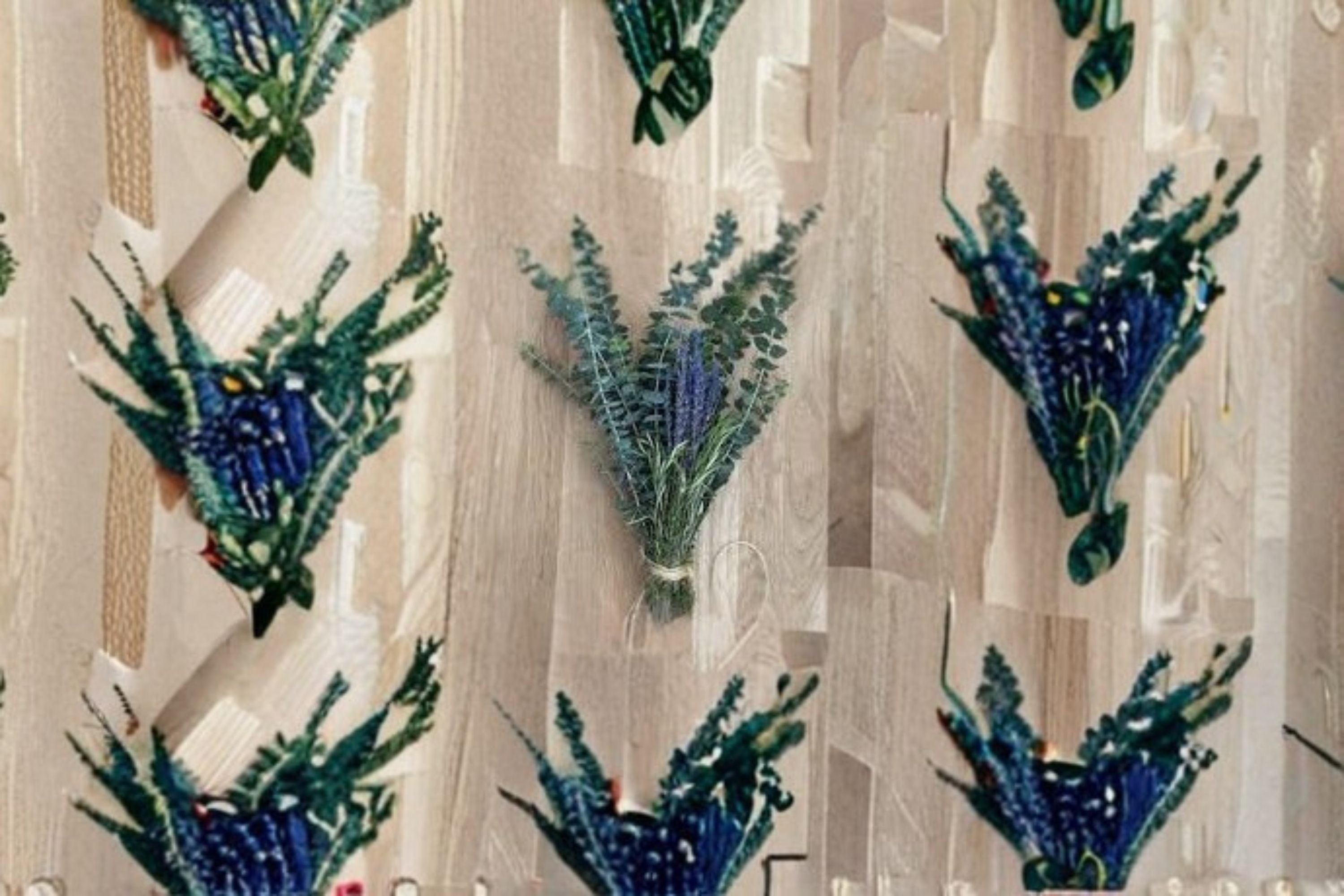 Eucalyptus Bundle 4 Stems – Eucalyptus cinerea