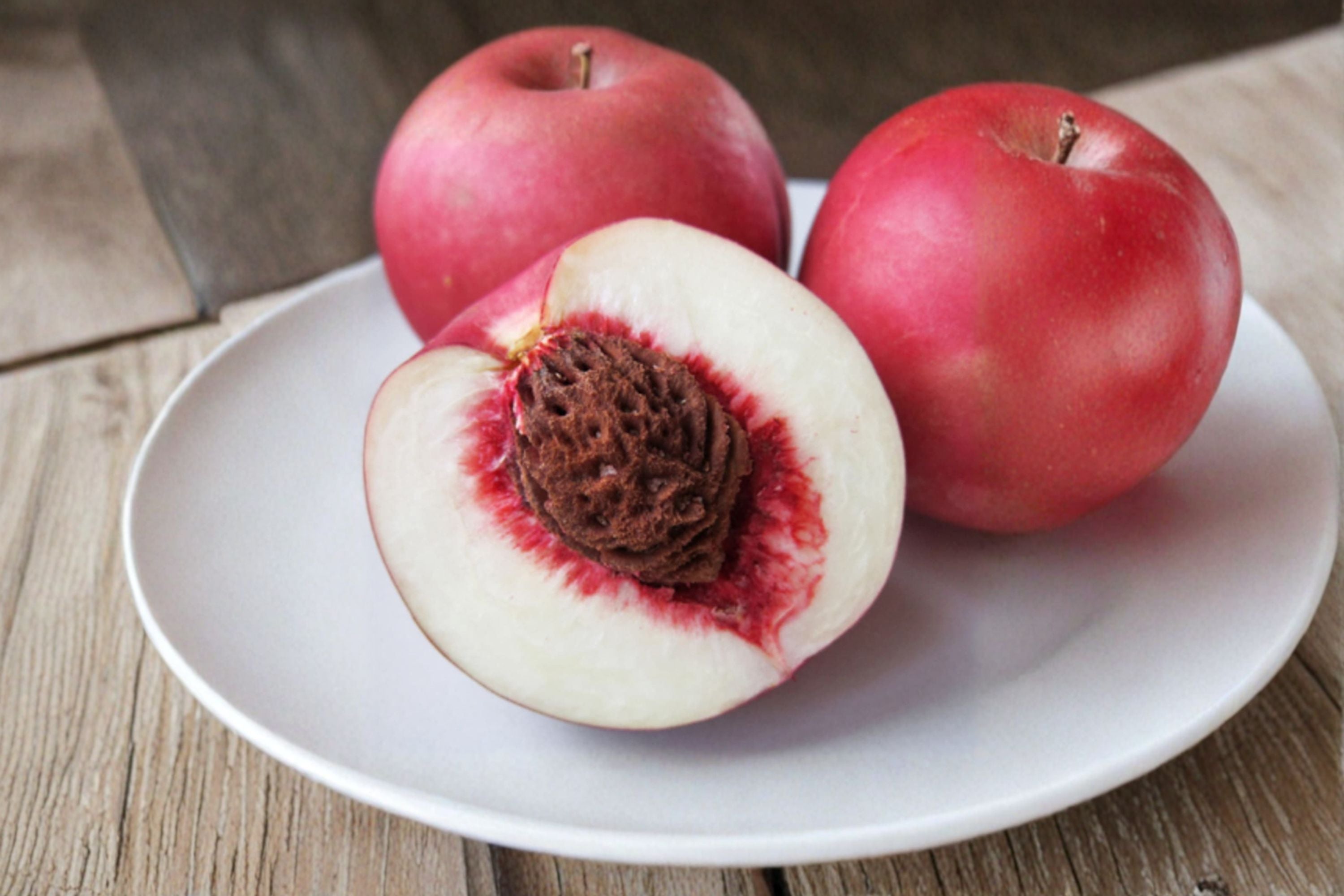 Nectaplum 5 Scions – Prunus spp.