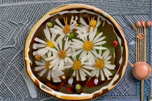 Heath Aster Seeds Symphyotrichum Pilosum Frost Aster White Wildflower Seeds Perennial Garden Flower Planting 100 Seeds