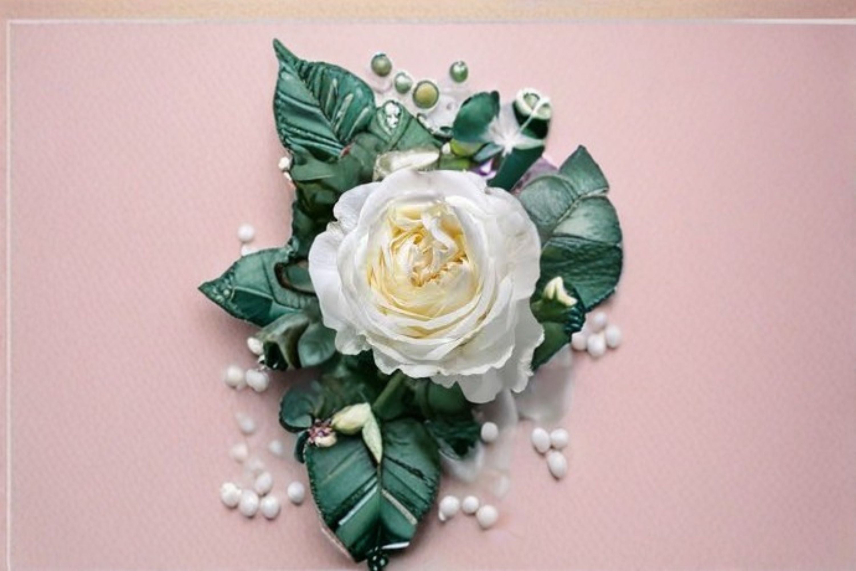 Moon Fairy Rose Live Plant – Easy Care Shrub Garden Rose