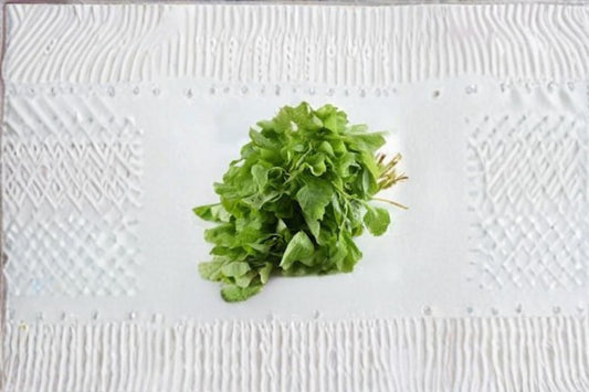 White Leaf Amaranth Seeds Amaranthus mangostanus Green Vegetable Seeds Leafy Garden Planting 500 Seeds