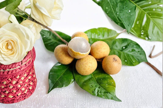 Kohala Longan Live Plant – 3 Gal Pot – 3–4 ft Tall – Dimocarpus longan