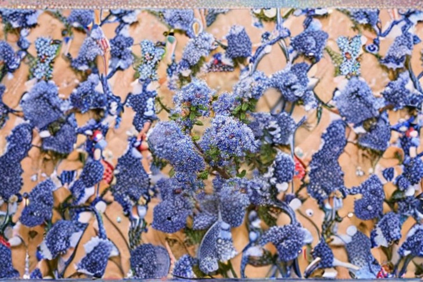 California Lilac 3 Cuttings – Ceanothus