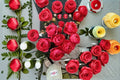 Garden Princess Marie José Rose Live Plant – Cherry Pink Fragrant Rose