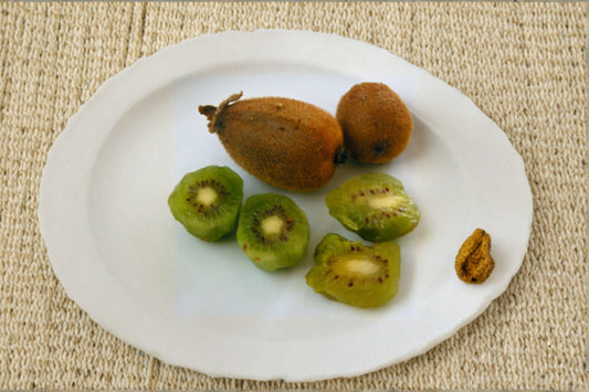 Tomuri Male Kiwi Vine Live Starter Plant – Actinidia chinensis
