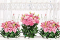 Lisianthus Rosita 1 Plant – Eustoma grandiflorum