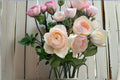 Totoro Rose Live Plant – Cream Apricot Austin Style Rose