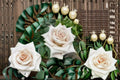 Menta Rose Live Plant – Fragrant Own Root Cut Rose