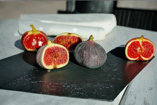 Black Mission Fig 2 Live Plants – 4–6" Tall – No Pot – Ficus carica