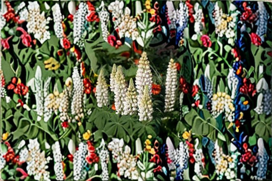 White Lupine Seeds Lupinus Polyphyllus Russell White Tall Perennial Flower Ornamental Garden Plant Cottage Style 20 Seeds