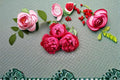 Autumn Rouge Rose Live Plant – Fragrant Heat Tolerant Cut Rose