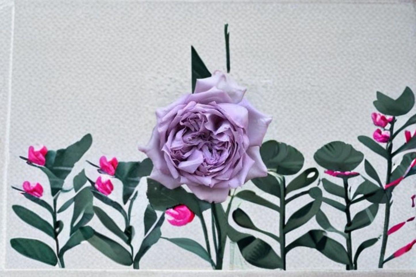 Antique Watch Rose Live Plant – Fragrant Japanese Own Root Rose