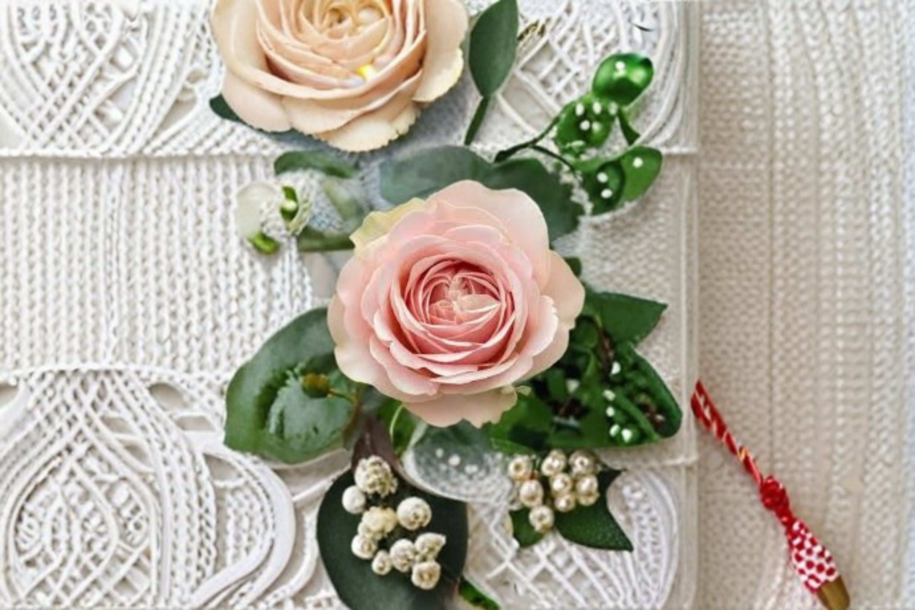 Unforgettable Rose Live Plant – Dutch VIP Cut Rose