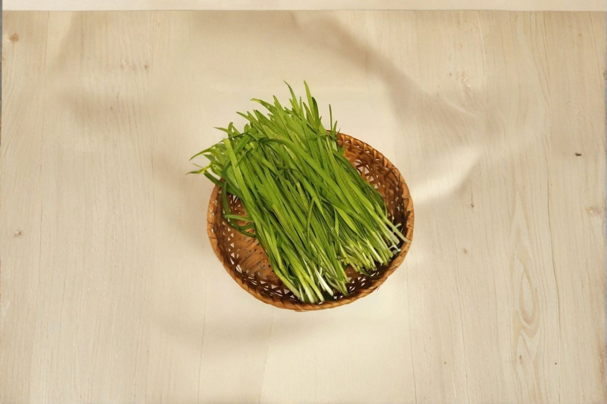 100 Garlic Chives Bare Roots | Live Chive Root Plants | 韭菜根 | Edible Perennial Herb | Garlic Chive Plant | Garden Herb