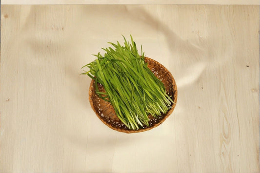 100 Garlic Chives Bare Roots | Live Chive Root Plants | 韭菜根 | Edible Perennial Herb | Garlic Chive Plant | Garden Herb