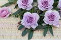 Shinoburedo Rose Live Plant – Japanese Blue Storm Rose